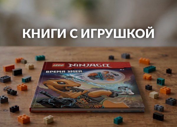 Книги с игрушкой