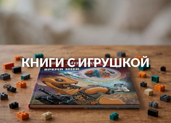 Книги с игрушкой