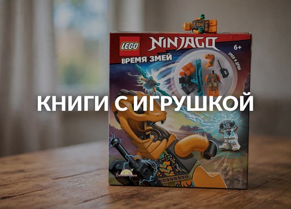 Книги с игрушкой