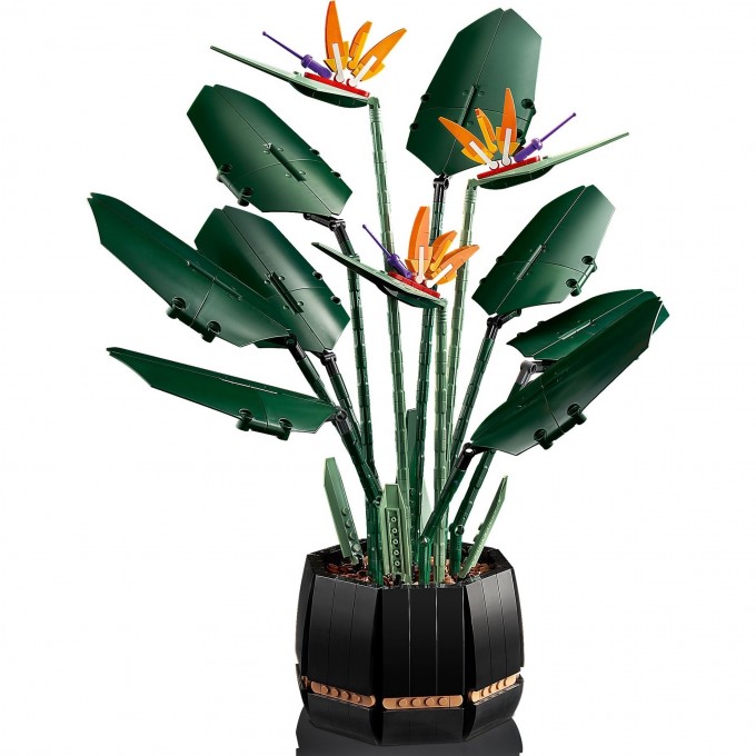 Конструктор LEGO BOTANICAL COLLECTION «РАЙСКАЯ ПТИЦА» Коллекционные наборы 10289 3406446 Конструктор LEGO BOTANICAL COLLECTION «РАЙСКАЯ ПТИЦА» Коллекционные наборы 10289 3406446