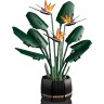 Конструктор LEGO BOTANICAL COLLECTION «РАЙСКАЯ ПТИЦА» Коллекционные наборы 10289 3406446